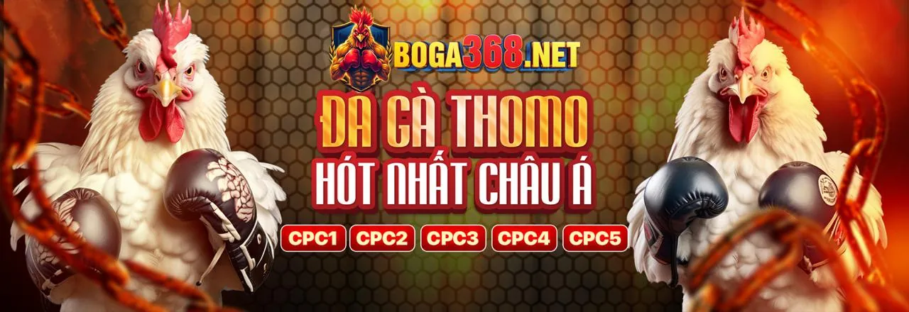 Khuyến Mãi Hấp Dẫn link 8xbet